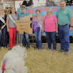 Grand Champion Market Turkey