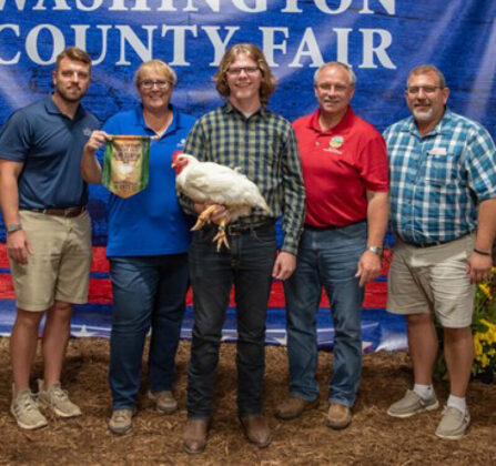Grand Champion Chickens