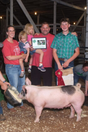 Reserve Champion Hog