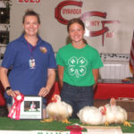 Reserve Champion Chickens