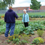 Garden at Grafton Correctional Institution supplies area hunger charities Vegetables grown at the Grafton Correctional Institution