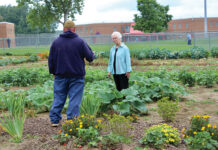 Garden at Grafton Correctional Institution supplies area hunger charities Vegetables grown at the Grafton Correctional Institution