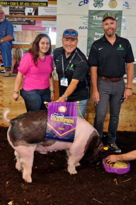 Grand Champion Hog