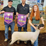 Grand Champion Lamb
