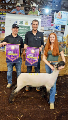 Grand Champion Lamb