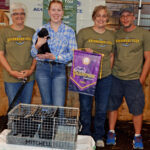 Grand Champion Rabbit