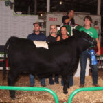 Grand Champion Steer