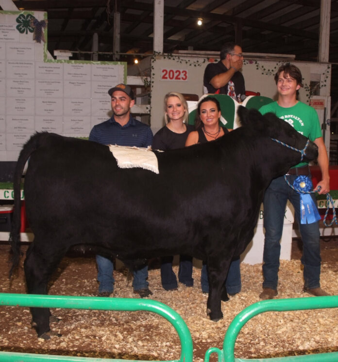 Grand Champion Steer Grand Champion Steer