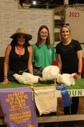 Grand Champion Chickens