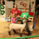 Grand Champion Lamb