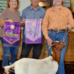 Reserve Champion Goat