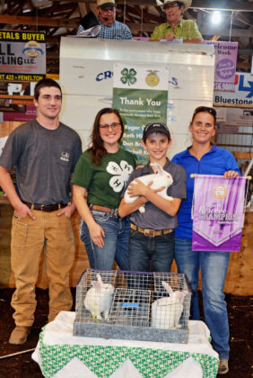Reserve Champion Rabbit