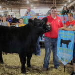 Reserve Champion Market Beef