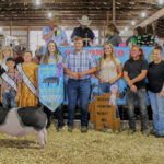 Reserve Champion Market Hog