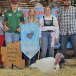 Reserve Champion Market Turkey
