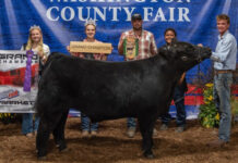 Washington County Junior Fair Results Grand Champion Steer