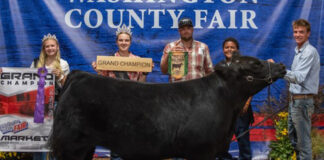Grand Champion Steer