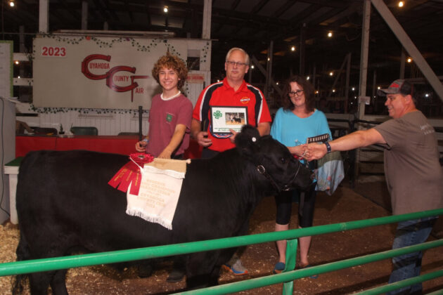 Reserve Champion Steer