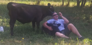 Eric Keller with cattle