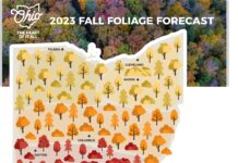 Ohio Fall Color Forecast now available online fall color