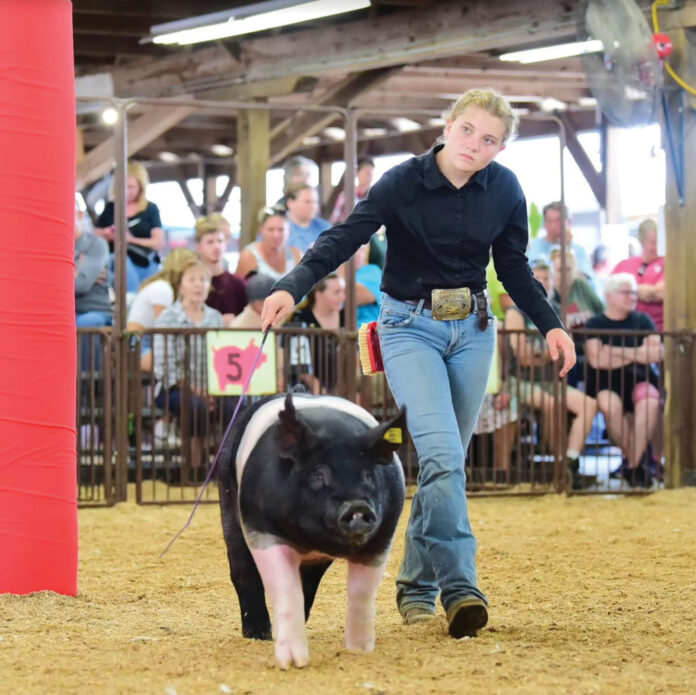 Callie Finnegan Callie Finnegan