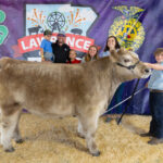 Grand Champion Market Beef