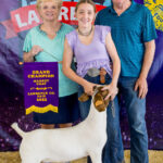 Grand Champion Goat