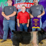 Grand Champion Hog