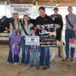 Grand Champion Dairy Steer