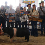 Grand Champion Hog