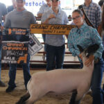 Grand Champion Lamb