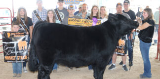 Grand Champion Steer