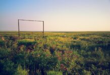Pa. 4-H’ers participate in national wildlife habitat program kansas prairie