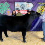 Reserve Champion Beef