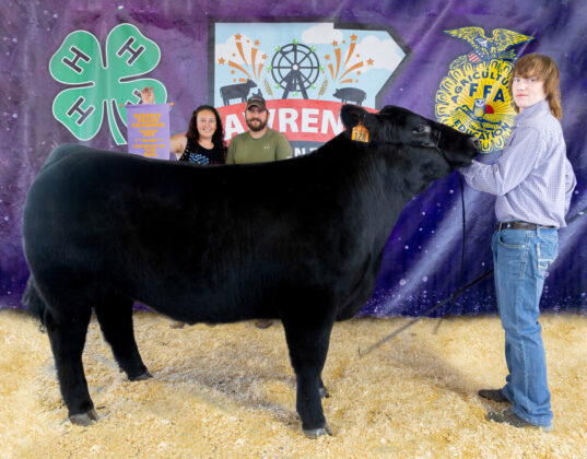 Reserve Champion Beef