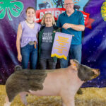 Reserve Champion Hog