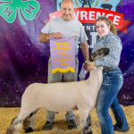 Reserve Champion Lamb