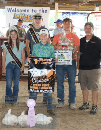 Reserve Champion Chickens