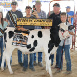 Reserve Champion Dairy Beef Feeder