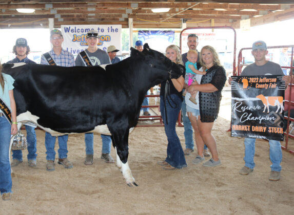 Reserve Champion Dairy Steer