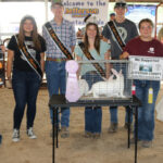 Reserve Champion Rabbits