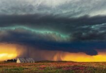 This summer in western South Dakota has been gloriously green storm