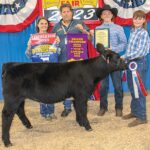 2023 Grand Champion Beef Heifer Feeder – Exhibited by Cord Leonard – Purchased by Leonard Truck & Trailer