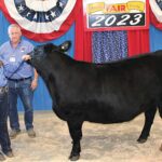 2023 Grand Champion Market Beef – Exhibtied by Kassidy Banks – Purcahsed by John & Beth Kufleitner and Don & Sheri Chamberlain