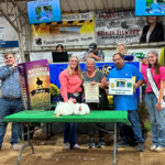 Reserve Champion Broilers
