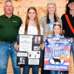 Dairy Steer Carcass Gr Ch