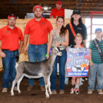 Goat Dairy Market Gr Ch