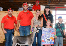 2023 Stark County Fair Sale results