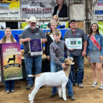 Grand Champion Goat