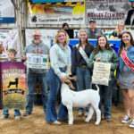 Reserve Champion Goat
